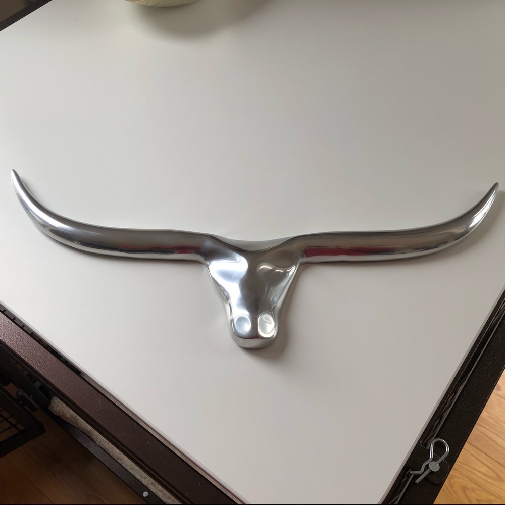 Home decor - long horn